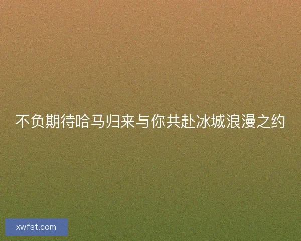 不负期待哈马归来与你共赴冰城浪漫之约